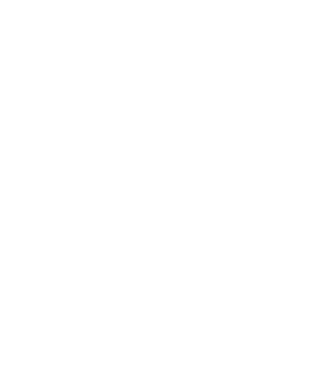 logo-2